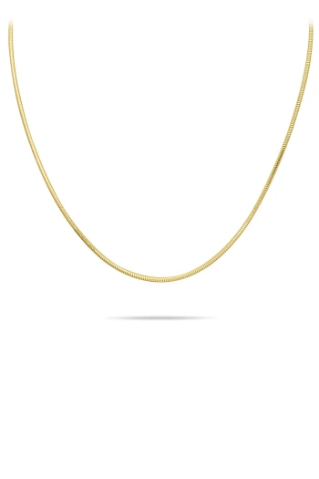 Altın 50 Cm Yuvarlak Balık Sırtı Kadın Zincir