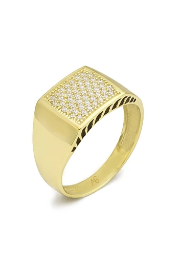 14 Ayar Altın Taşlı Erkek Yüzük (EYZ0195)