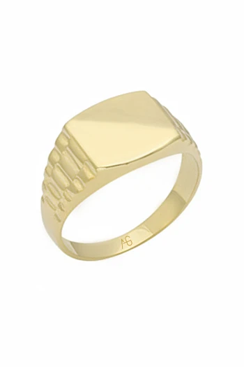 14 Ayar Altın Taşsız Klasik Tarz Erkek Yüzük (EYZ0202)