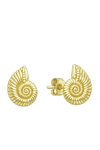 Altın Deniz Kabuğu Küpe (KP1130)