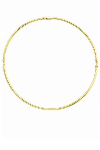 Altın Choker Kolye (KLY1808)